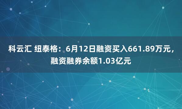 科云汇 纽泰格：6月12日融资买入661.89万元，融资融券余额1.03亿元