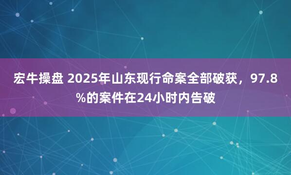宏牛操盘 2025年山东现行命案全部破获，97.8%的案件在24小时内告破