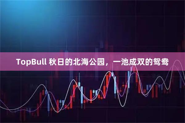 TopBull 秋日的北海公园，一池成双的鸳鸯