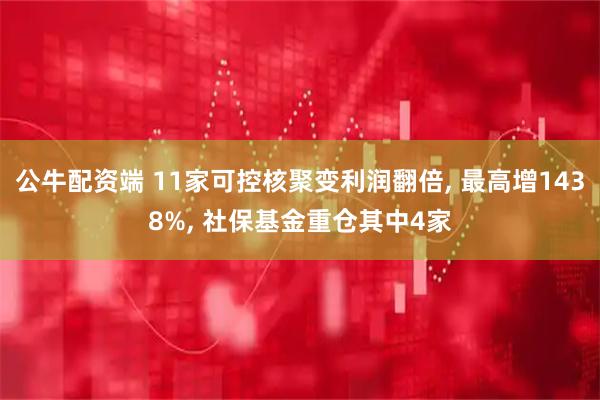 公牛配资端 11家可控核聚变利润翻倍, 最高增1438%, 社保基金重仓其中4家